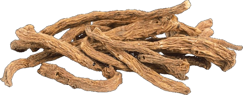 Angelica Gigas Root